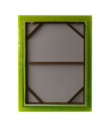 Seinapilt WALLY 60x80cm, roheline, akrüü