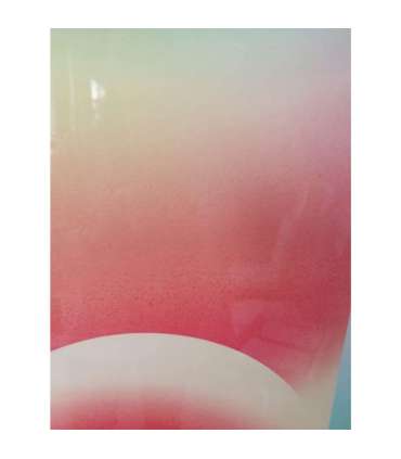 Seinapilt WALLY 50x70cm, koidukuma, akrüül