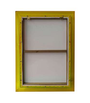 Seinapilt WALLY 50x70cm, koidukuma, akrüül