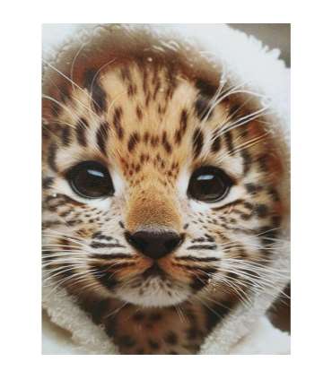 Seinapilt WALLY 40x50cm, gepardi beebi