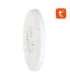 Smart ceiling lamp 30cm WiFi/Bluetooth 16M RGBCW Gosund LB12 1920lm Tuya + Remote Control.