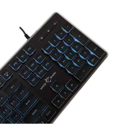 White Shark GK-003141 Tachi Black US