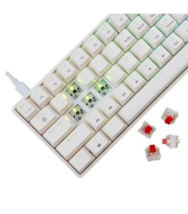 White Shark GK-004211 Shinobi-2 Red Switch, White US