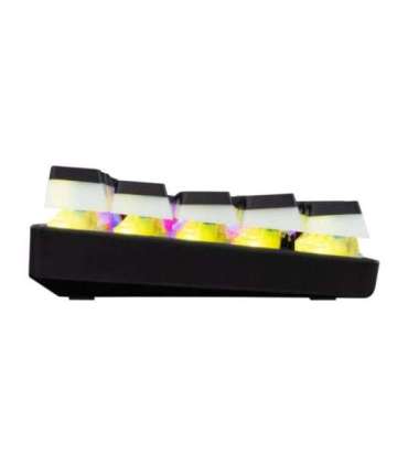 White Shark GK-2202 Ashiko-2 Black/Red US