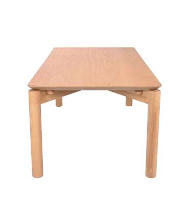 Diivanilaud GARDENIA 120x60xH45cm, tamm