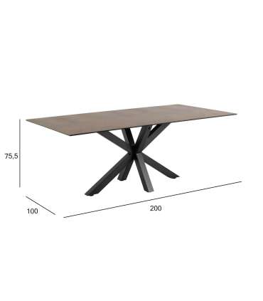 Söögilaud HEAVEN 200x100xH75,5cm, pruun