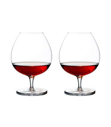 Brändiklaasid CRYSTAL 2tk 800ml