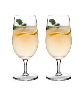 Kokteiliklaasid CRYSTAL 2tk 400ml "Home bar"