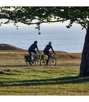 Thule 4211 Shield Pannier 25L Pair Yellow