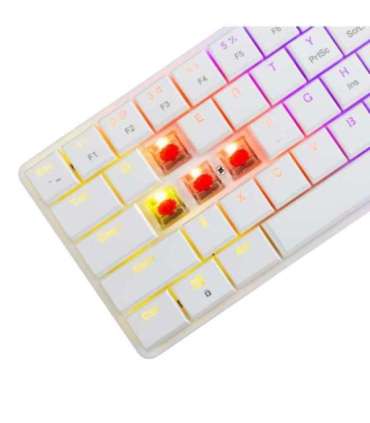 White Shark GK-006211 Nagamaki White-Mechanical-Red.SW