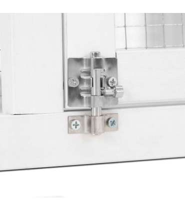 Lemmikloomapuur /kanakuut aiaga PROMINENT MOLLY