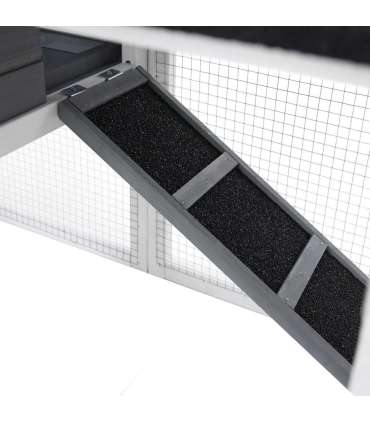 Lemmikloomapuur /kanakuut aiaga PROMINENT MOLLY