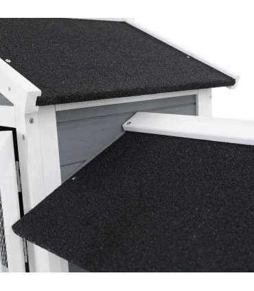 Lemmikloomapuur /kanakuut aiaga PROMINENT MOLLY