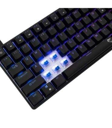 White Shark GK-005121 Hamachi Mechanical RGB / US - Blue SW.