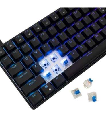 White Shark GK-005121 Hamachi Mechanical RGB / US - Blue SW.