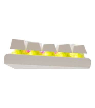 White Shark GK-002221V2 Wakizashi-2 White US-Blue.SW