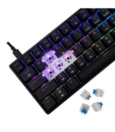 White Shark GK-004121 Shinobi-2 Blue Switch, Black US