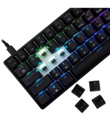 White Shark GK-004131 Shinobi-2 Brown switch, Black US