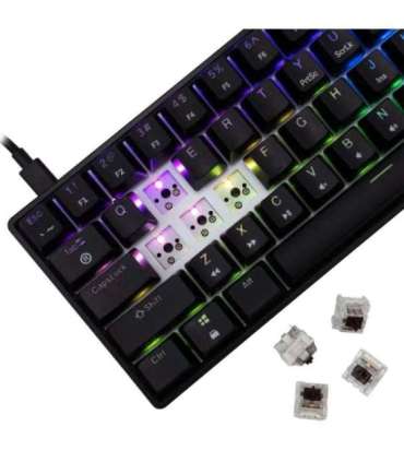 White Shark GK-004131 Shinobi-2 Brown switch, Black US