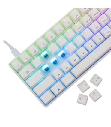 White Shark GK-004221 Shinobi-2  Blue switch, White US