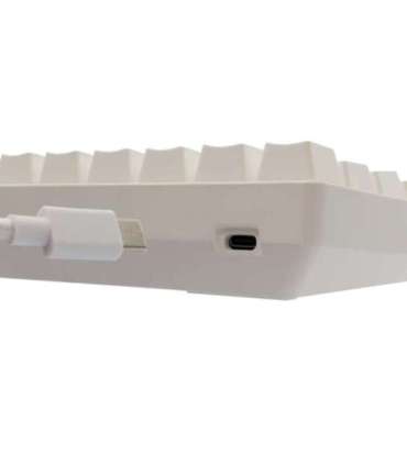 White Shark GK-004221 Shinobi-2  Blue switch, White US