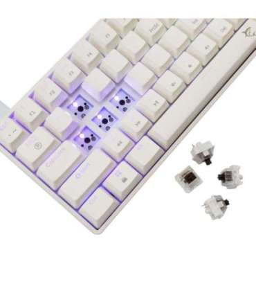 White Shark GK-004231 Shinobi-2 Brown Switch, White US