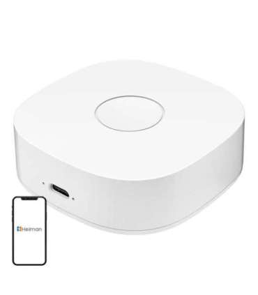 Smart home WS2GW-R WiFi