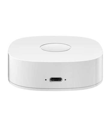 Smart home WS2GW-R WiFi
