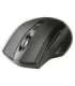 Tracer 47432 Wireless Optical Mouse RF 2,4Ghz/BT Black