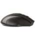 Tracer 47432 Wireless Optical Mouse RF 2,4Ghz/BT Black