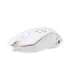 White Shark GM-5018 Caradoc RGB/7200 dpi White