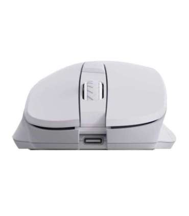 Sbox WM-308 White