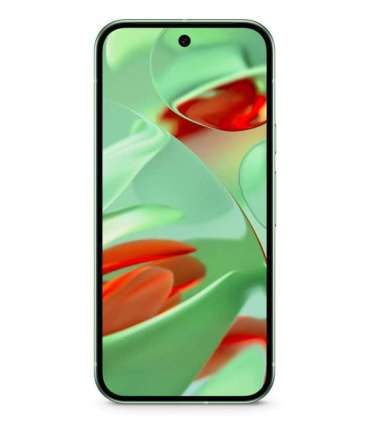 Google Pixel 9 16 cm (6.3"), 12 GB, 128 GB, 50 MP, Android 14, Wintergreen