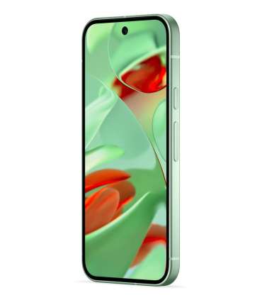 Google Pixel 9 16 cm (6.3"), 12 GB, 128 GB, 50 MP, Android 14, Wintergreen