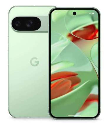 Google Pixel 9 16 cm (6.3"), 12 GB, 128 GB, 50 MP, Android 14, Wintergreen