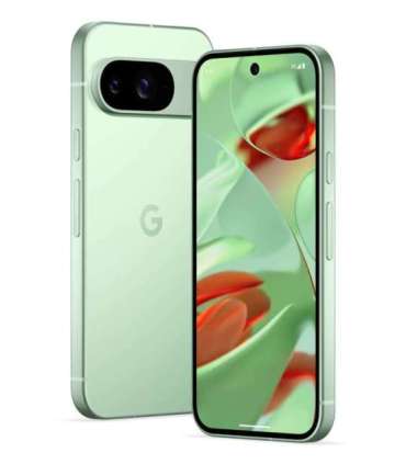 Google Pixel 9 16 cm (6.3"), 12 GB, 128 GB, 50 MP, Android 14, Wintergreen