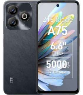 ZTE Blade A75 16.8 cm (6.6") Dual SIM Android 9.0 4G USB Type-C 4 GB 128 GB 5000 mAh Black