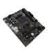 BIOSTAR A520MT motherboard