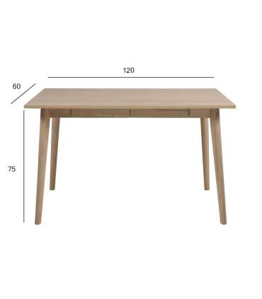 Kirjutuslaud MARTE 120x60xH75cm, tamm, puit