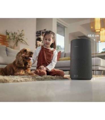 AC1715/10 Air Purifier 1000i Series