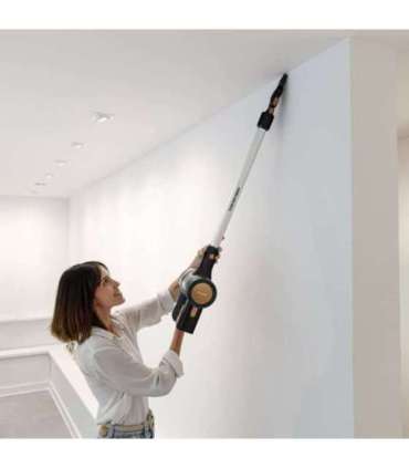 Taurus Homeland Ideal cordless hoover 948934000