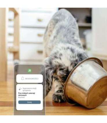 Vacuuming and mopping robot iRobot Roomba Combo j9+