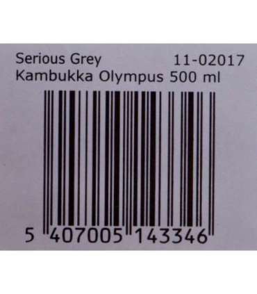Kambukka Olympus Serious Grey - thermal mug, 500 ml
