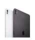 Apple iPad Pro 5G Apple M TD-LTE & FDD-LTE 256 GB 27,9 cm (11") 8 GB Wi-Fi 6E (802.11ax) iPadOS 17 Silver
