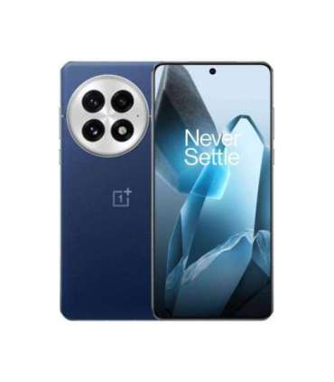 OnePlus 13 17.3 cm (6.82") Dual SIM Android 15 5G USB Type-C 16 GB 512 GB 6000 mAh Blue