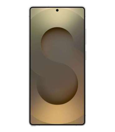 Samsung Galaxy S25 Ultra 17.5 cm (6.9") Dual SIM Android 15 5G USB Type-C 12 GB 1 TB 5000 mAh Grey, Titanium