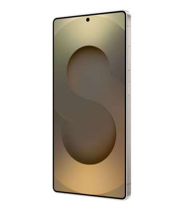 Samsung Galaxy S25 Ultra 17.5 cm (6.9") Dual SIM Android 15 5G USB Type-C 12 GB 1 TB 5000 mAh Grey, Titanium