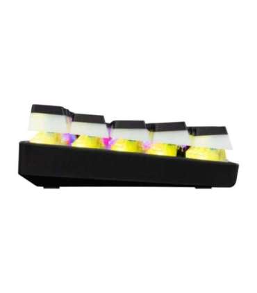 White Shark GK-2202 Ashiko-2 Black/Blue US