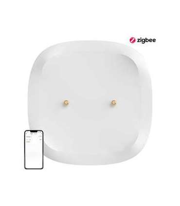 Smart water leak/flood sensor ZigBee SONOFF SNZB-05P (+battery)