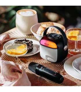 Adler AD 1199 black Karaoke speaker with microphone - SD/USB/AUX/Bluetooth